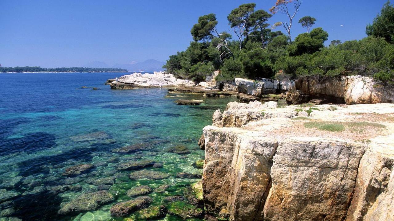 Gorgeous 2 Bedrooms Brand New 3 Avenue Paul Arene Antibes Bagian luar foto